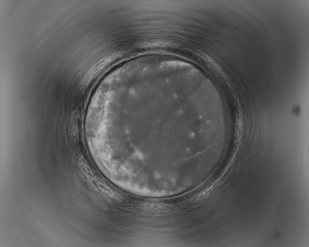 X0000116020921200912111348