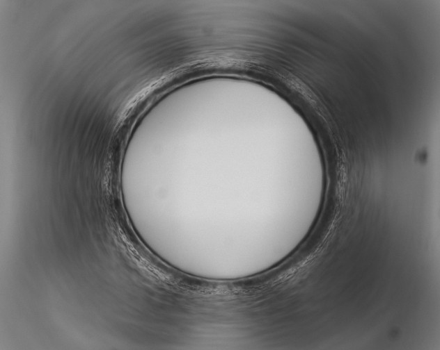 X0000116020922200912111348