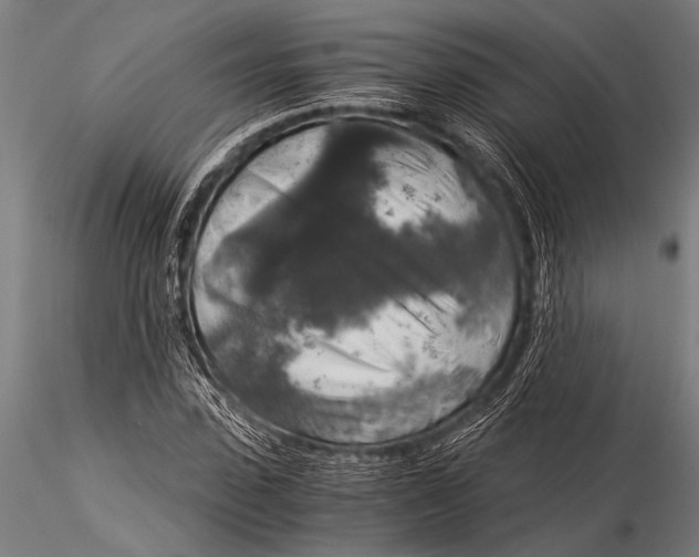 X0000116020923200912111348