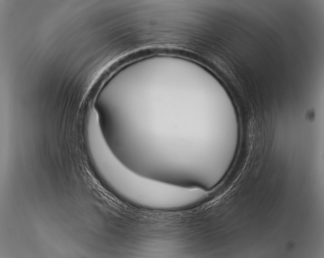 X0000116020926200912111348