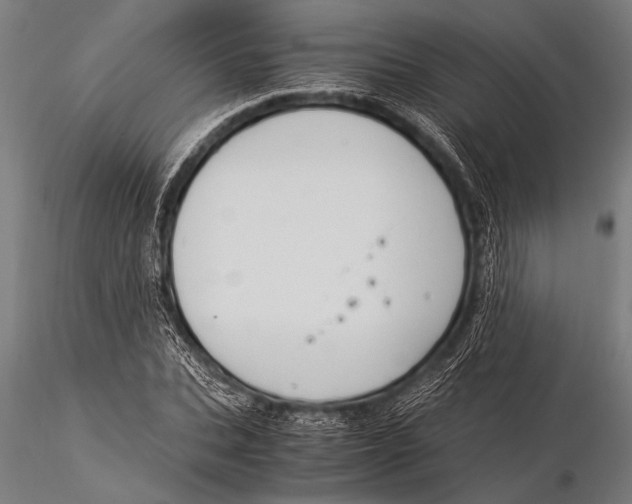 X0000116020927200912111348