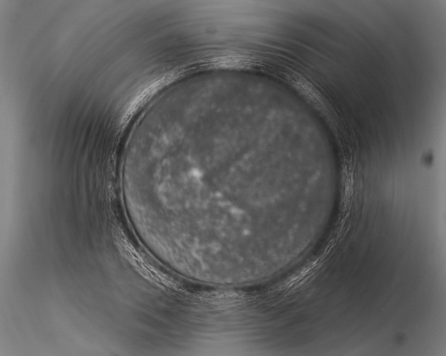 X0000116020930200912111348