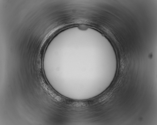 X0000116020931200912111348