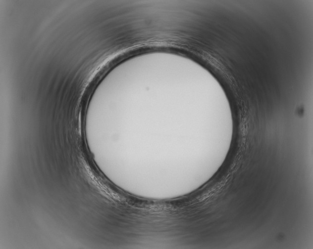 X0000116020934200912111348