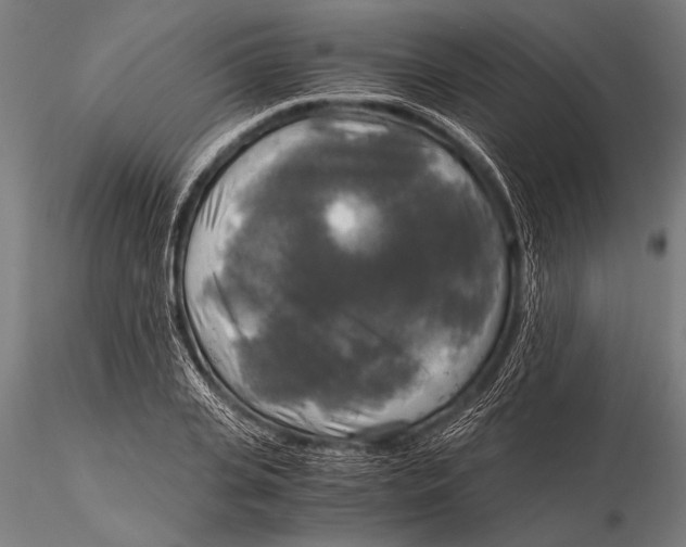 X0000116020935200912111348