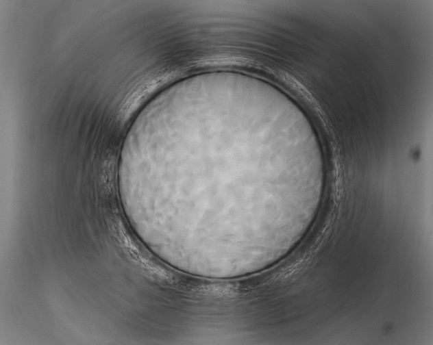 X0000116020937200912111348