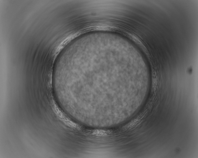 X0000116020938200912111348