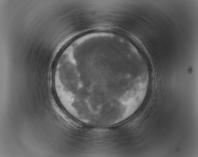 X0000116020939200912111348