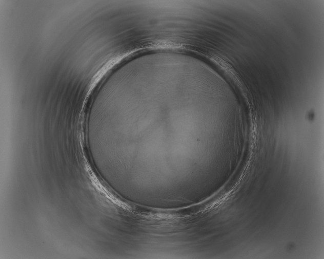 X0000116020941200912111348