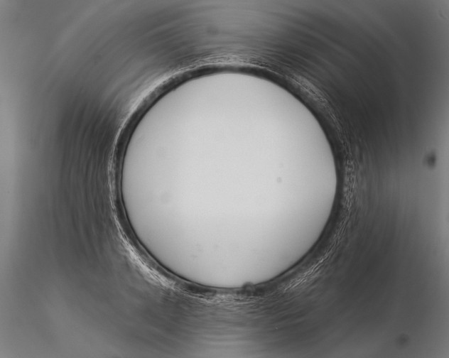 X0000116020942200912111348