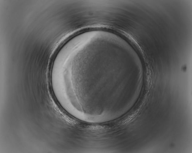 X0000116020943200912111348