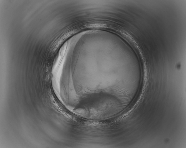 X0000116020945200912111348