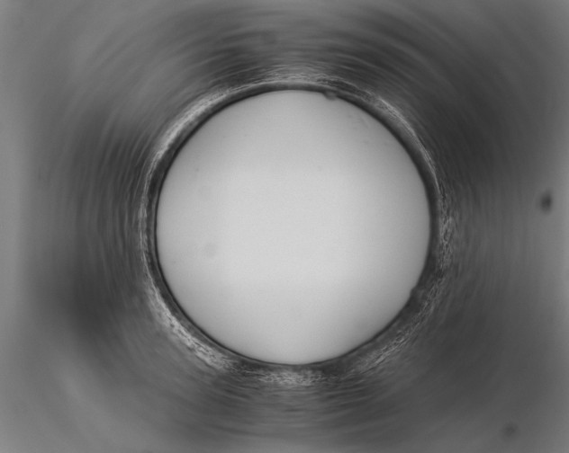 X0000116020947200912111348