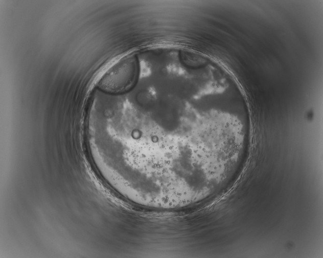 X0000116020949200912111348