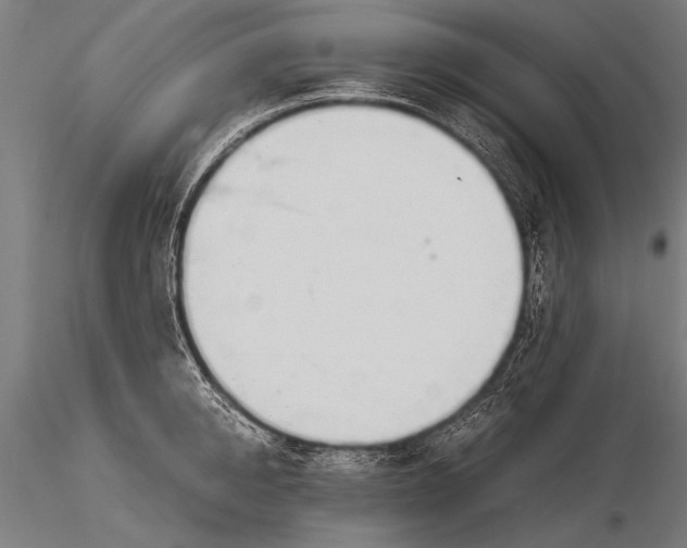 X0000116020950200912111348