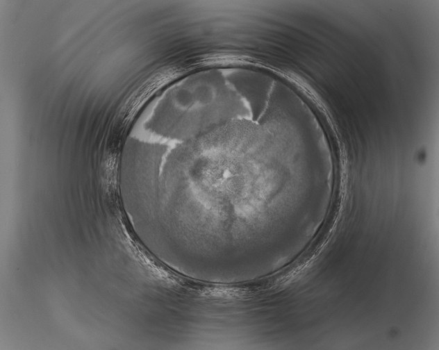 X0000116020953200912111349