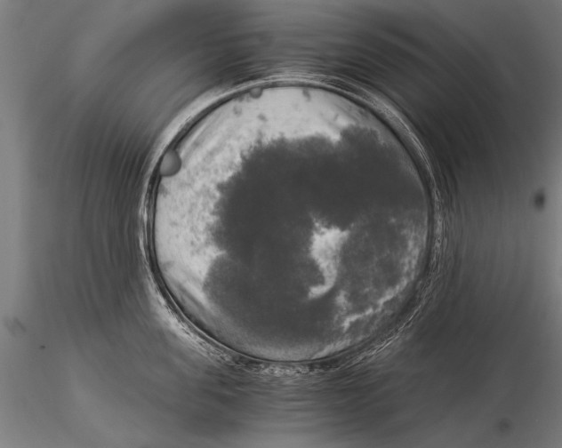 X0000116020955200912111349