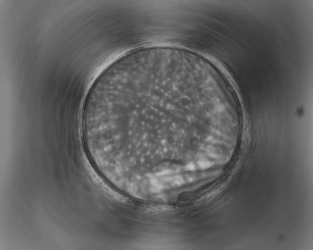 X0000116020957200912111349