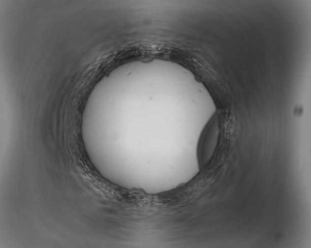 X0000116020961200912111348