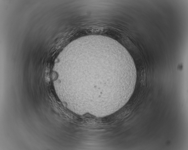 X0000116020962200912111348