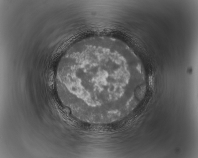 X0000116020963200912111348