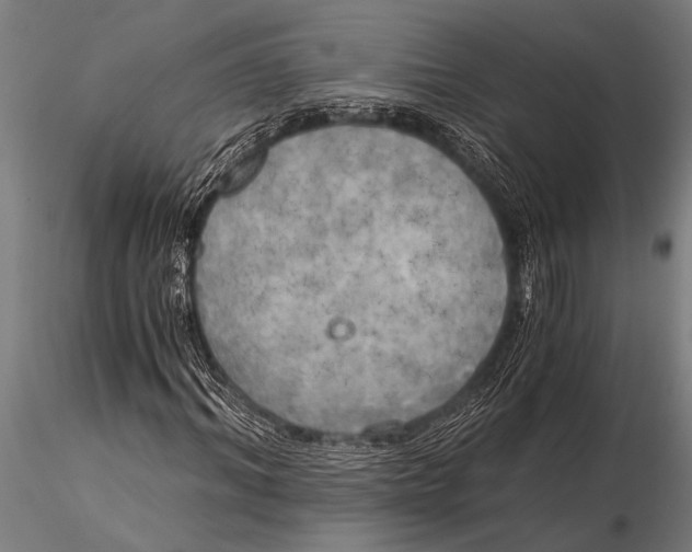 X0000116020964200912111348