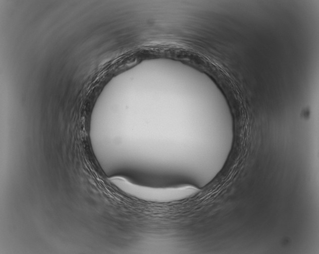 X0000116020965200912111348