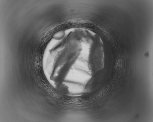 X0000116020966200912111348