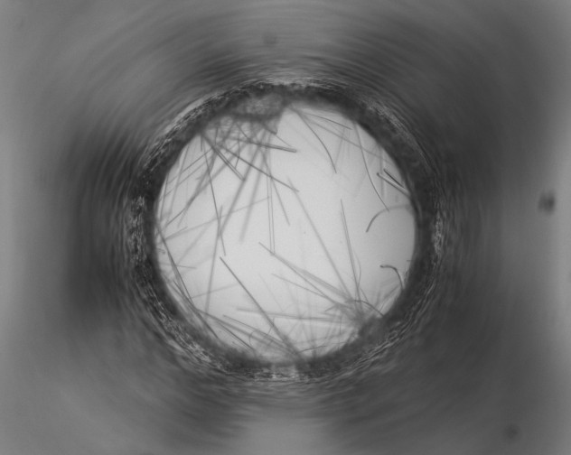 X0000116020968200912111348