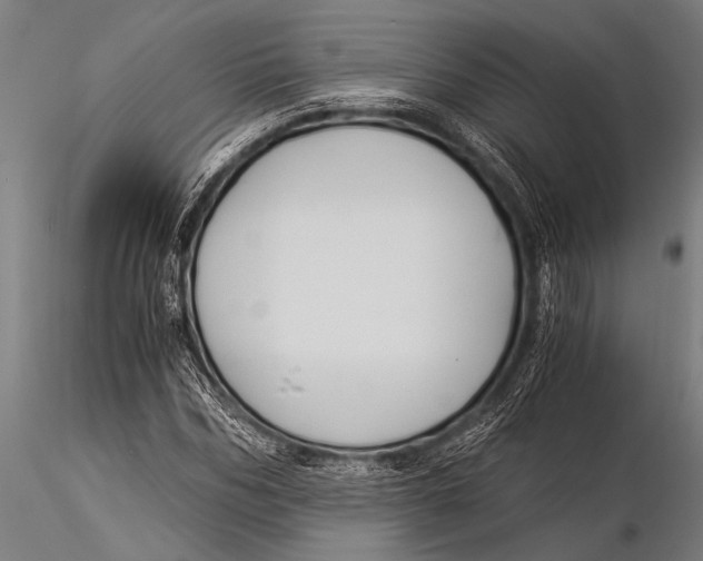 X0000116020970200912111348