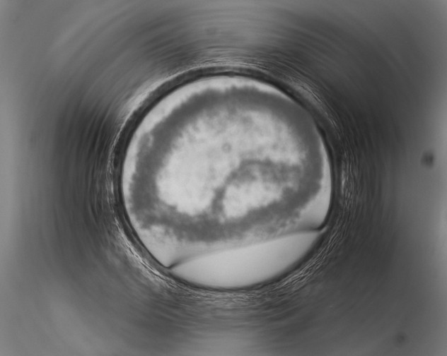 X0000116020972200912111348