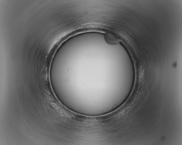 X0000116020973200912111348