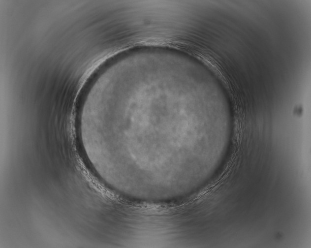 X0000116020976200912111348