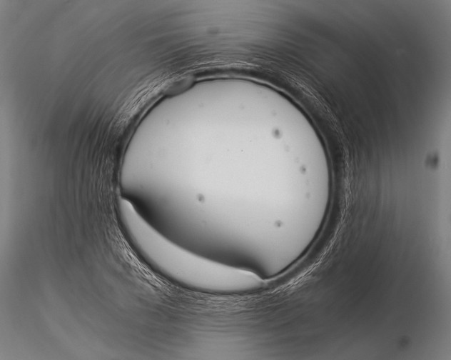 X0000116020977200912111348