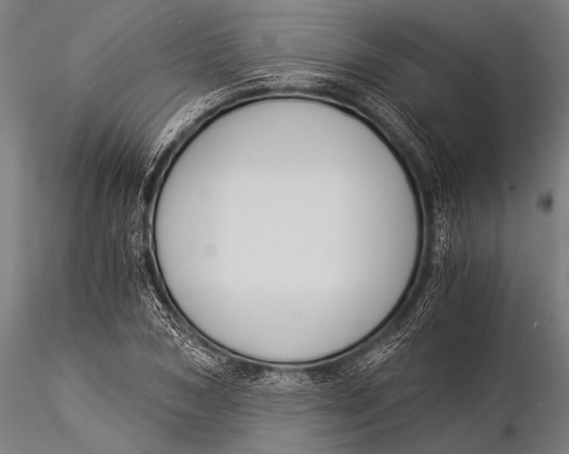 X0000116020978200912111348