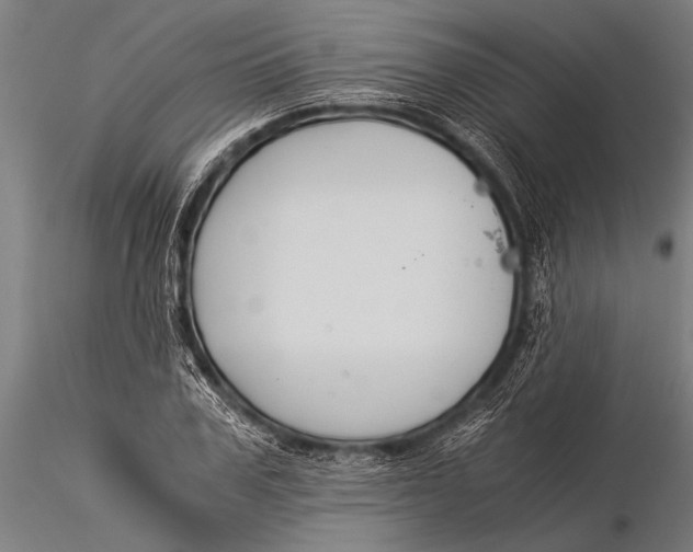 X0000116020979200912111348