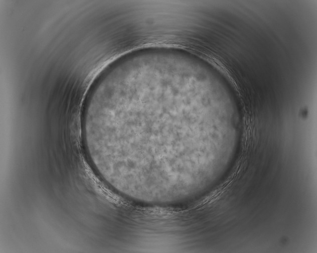 X0000116020980200912111348