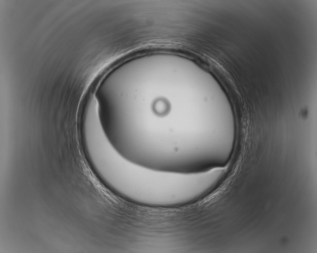 X0000116020981200912111348