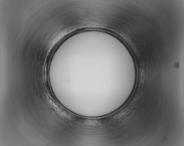 X0000116020982200912111348