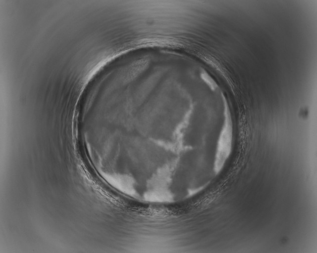 X0000116020983200912111348