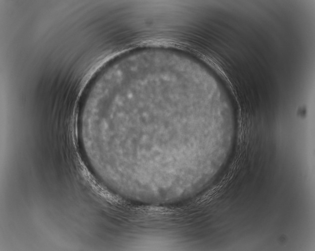 X0000116020984200912111348