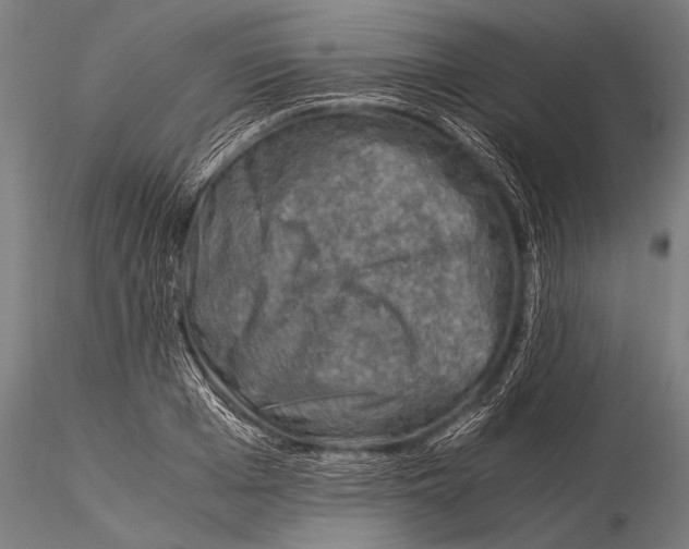 X0000116020985200912111348