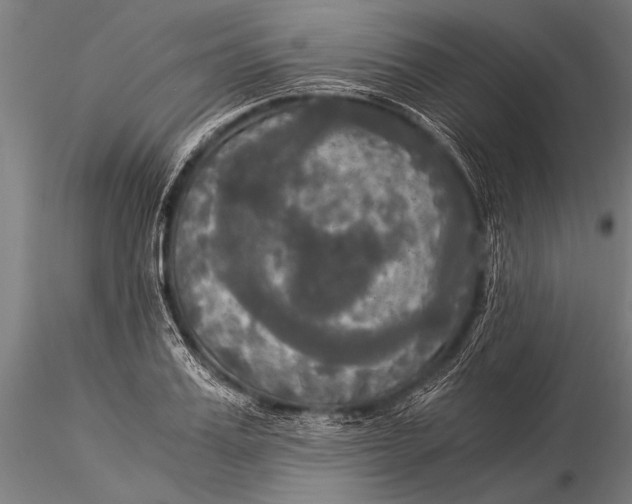 X0000116020987200912111348