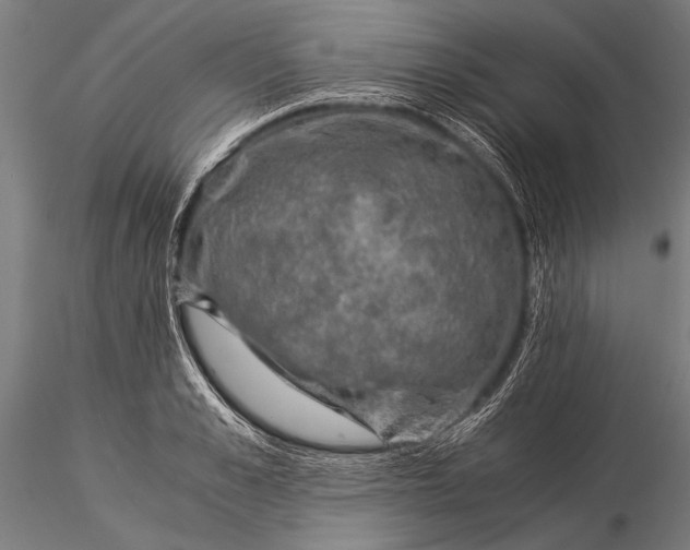 X0000116020989200912111348