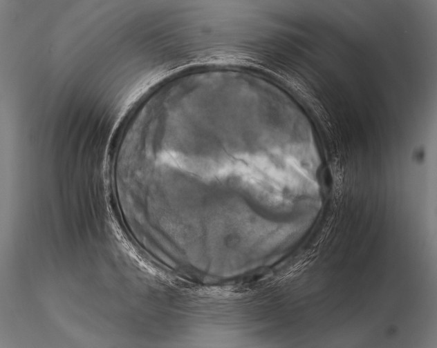 X0000116020990200912111348