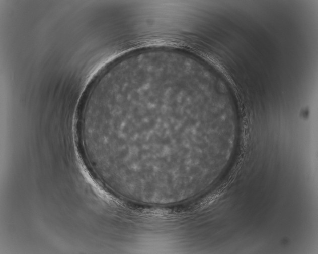 X0000116020991200912111348