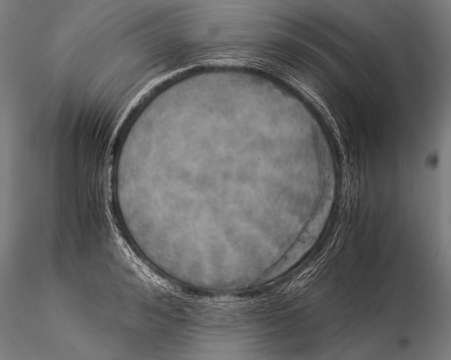 X0000116020992200912111348