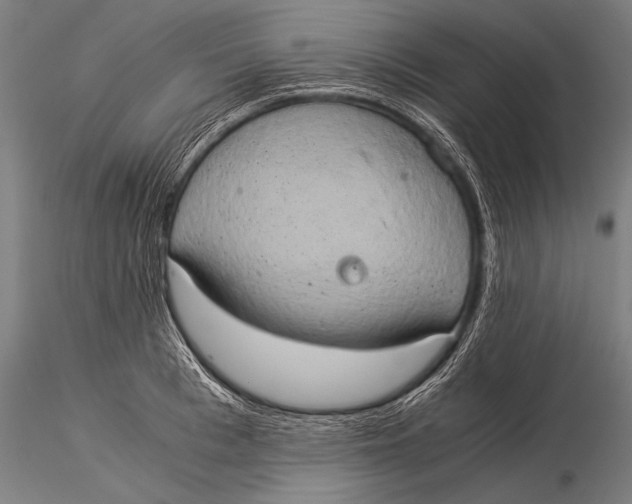 X0000116020993200912111348