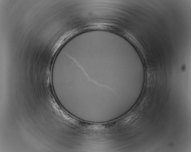 X0000116020994200912111347