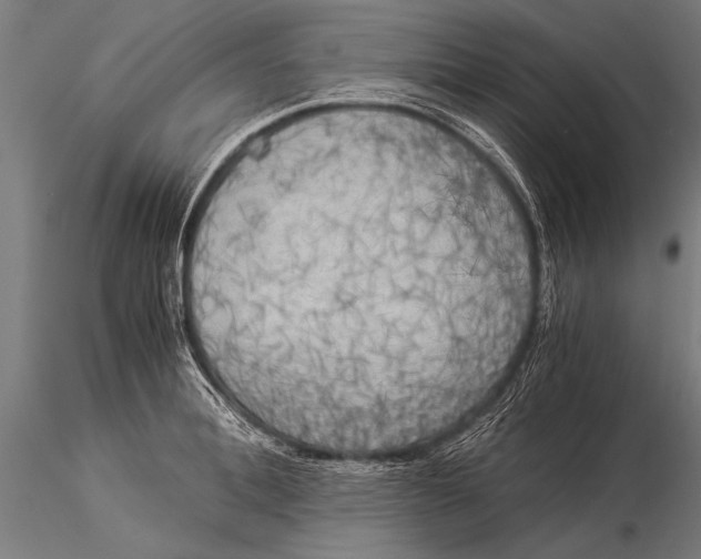 X0000116020996200912111347